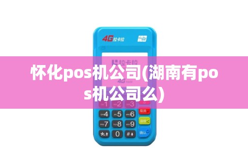 怀化pos机公司(湖南有pos机公司么)