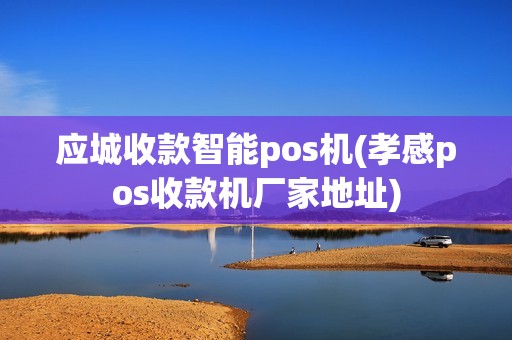 应城收款智能pos机(孝感pos收款机厂家地址)