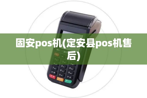 固安pos机(定安县pos机售后)