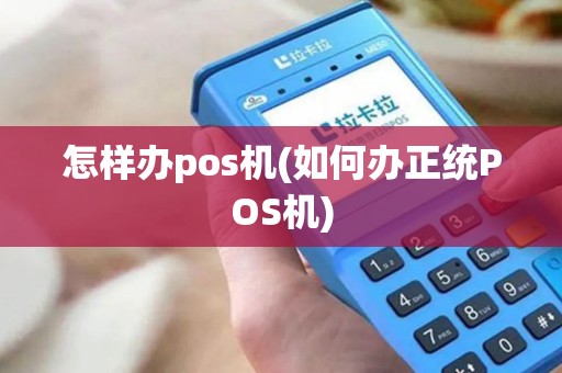 怎样办pos机(如何办正统POS机)