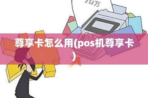 尊享卡怎么用(pos机尊享卡)