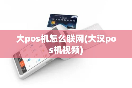 大pos机怎么联网(大汉pos机视频)