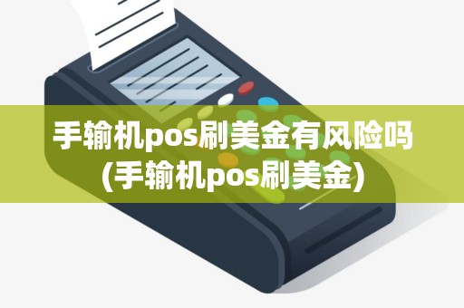 手输机pos刷美金有风险吗(手输机pos刷美金)