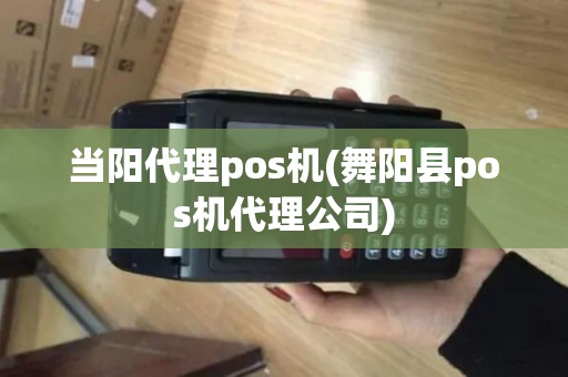当阳代理pos机(舞阳县pos机代理公司)
