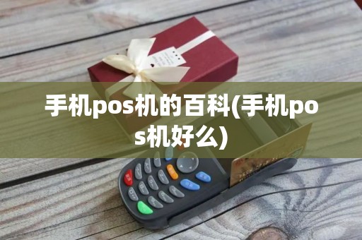 手机pos机的百科(手机pos机好么)