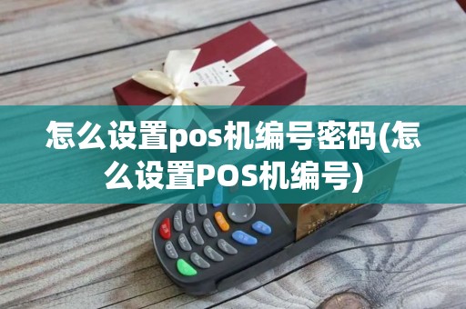 怎么设置pos机编号密码(怎么设置POS机编号)