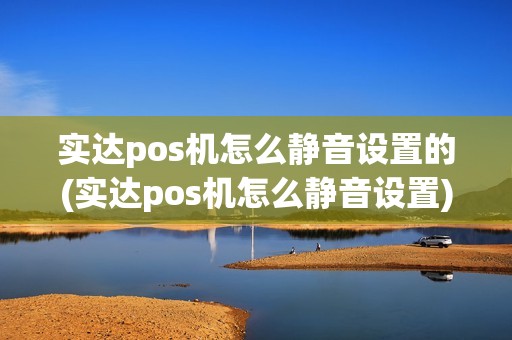 实达pos机怎么静音设置的(实达pos机怎么静音设置)