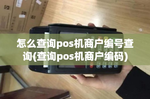 怎么查询pos机商户编号查询(查询pos机商户编码)