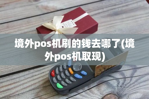 境外pos机刷的钱去哪了(境外pos机取现)