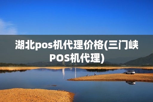 湖北pos机代理价格(三门峡POS机代理)