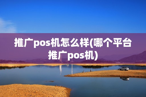 推广pos机怎么样(哪个平台推广pos机)