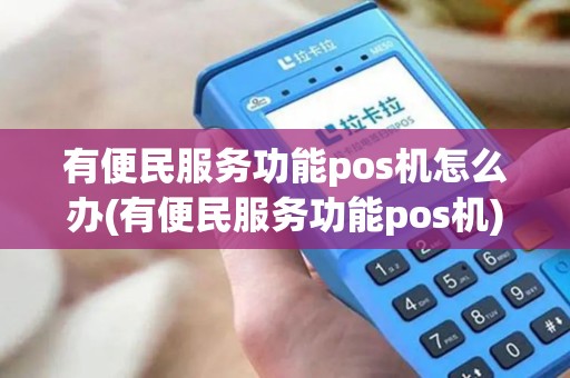 有便民服务功能pos机怎么办(有便民服务功能pos机)