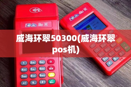 威海环翠50300(威海环翠pos机)