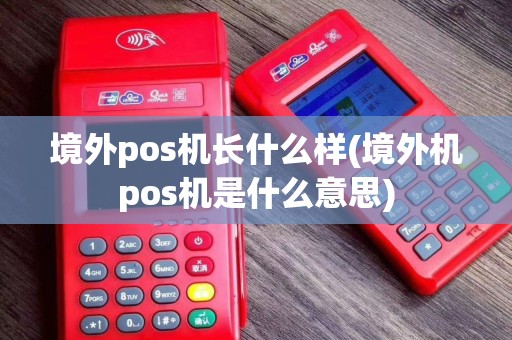 境外pos机长什么样(境外机pos机是什么意思)