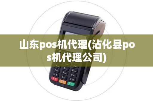 山东pos机代理(沾化县pos机代理公司)