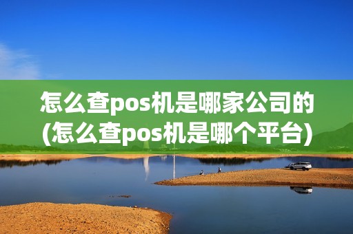 怎么查pos机是哪家公司的(怎么查pos机是哪个平台)
