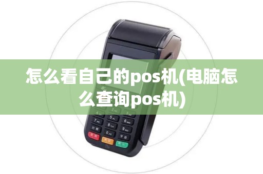 怎么看自己的pos机(电脑怎么查询pos机)