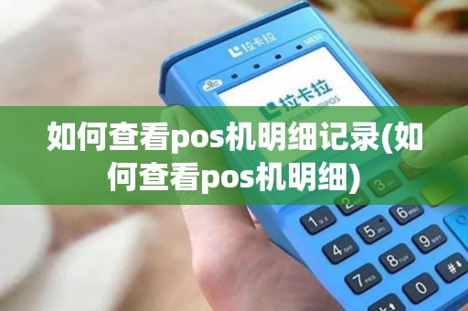 如何查看pos机明细记录(如何查看pos机明细)