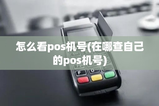 怎么看pos机号(在哪查自己的pos机号)