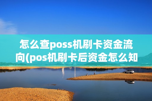 怎么查poss机刷卡资金流向(pos机刷卡后资金怎么知道)
