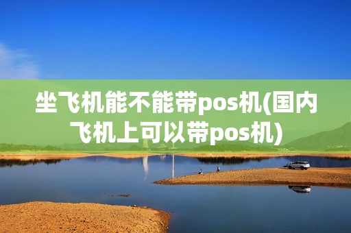 坐飞机能不能带pos机(国内飞机上可以带pos机)