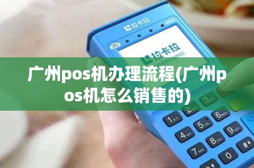 广州pos机办理流程(广州pos机怎么销售的)