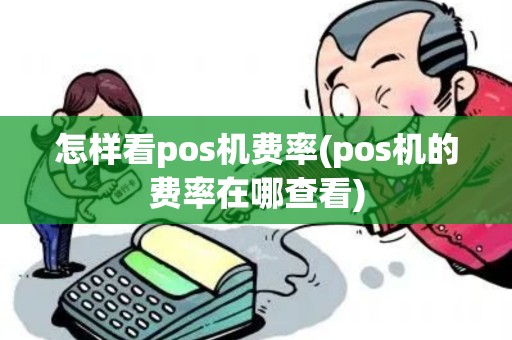 怎样看pos机费率(pos机的费率在哪查看)