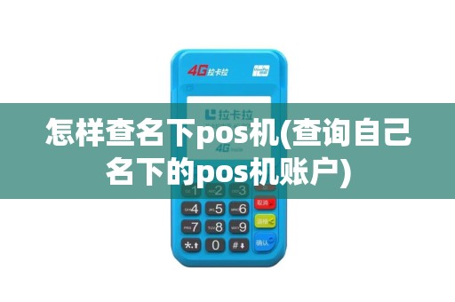 怎样查名下pos机(查询自己名下的pos机账户)