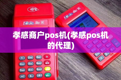 孝感商户pos机(孝感pos机的代理)