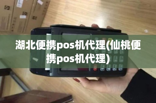 湖北便携pos机代理(仙桃便携pos机代理)