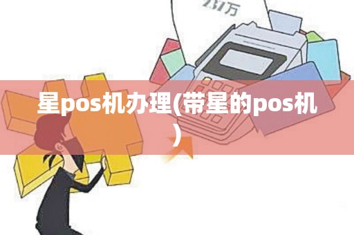 星pos机办理(带星的pos机)