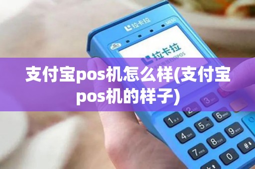 支付宝pos机怎么样(支付宝pos机的样子)