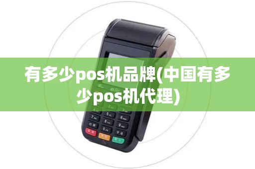 有多少pos机品牌(中国有多少pos机代理)