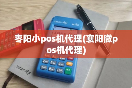 枣阳小pos机代理(襄阳微pos机代理)