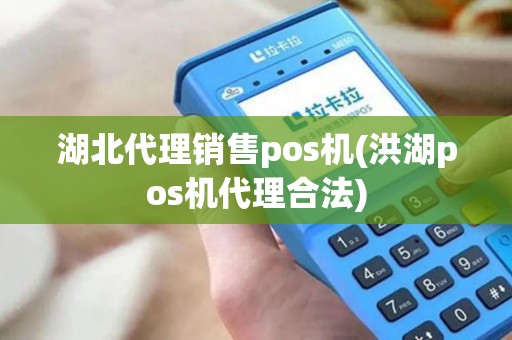 湖北代理销售pos机(洪湖pos机代理合法)