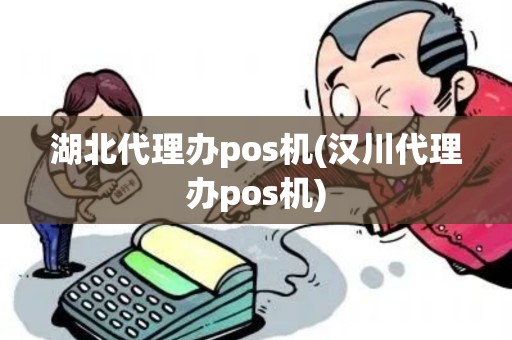 湖北代理办pos机(汉川代理办pos机)