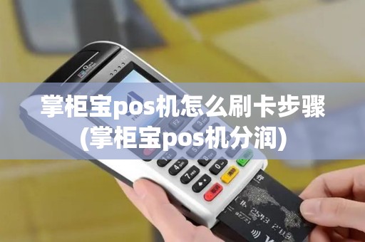 掌柜宝pos机怎么刷卡步骤(掌柜宝pos机分润)