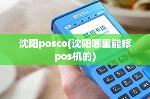 沈阳posco(沈阳哪里能修pos机的)