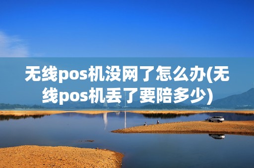 无线pos机没网了怎么办(无线pos机丢了要陪多少)