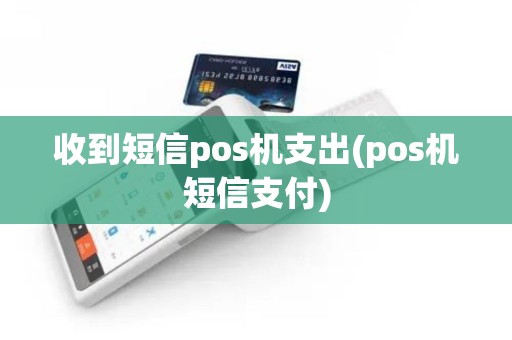 收到短信pos机支出(pos机短信支付)