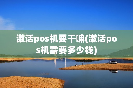 激活pos机要干嘛(激活pos机需要多少钱)