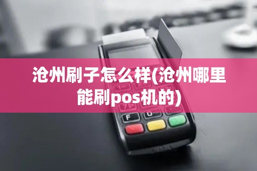 沧州刷子怎么样(沧州哪里能刷pos机的)