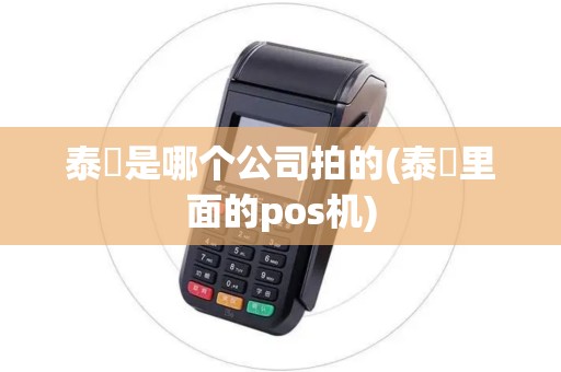 泰囧是哪个公司拍的(泰囧里面的pos机)