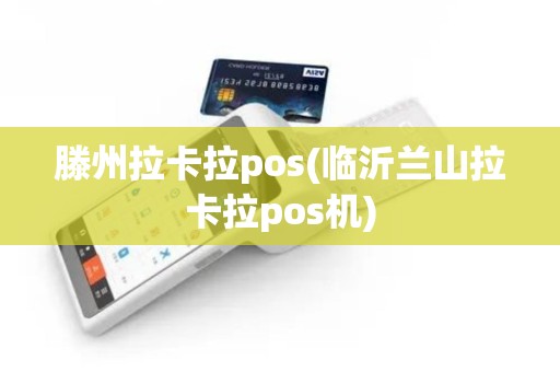 滕州拉卡拉pos(临沂兰山拉卡拉pos机)