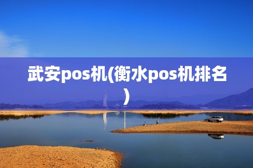 武安pos机(衡水pos机排名)