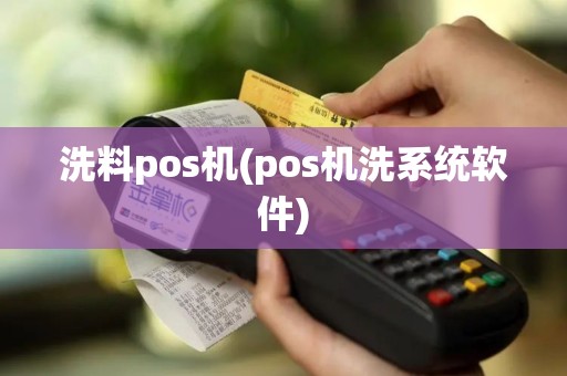 洗料pos机(pos机洗系统软件)