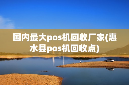 国内最大pos机回收厂家(惠水县pos机回收点)