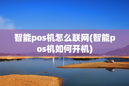 智能pos机怎么联网(智能pos机如何开机)