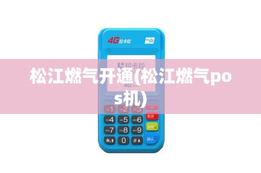 松江燃气开通(松江燃气pos机)