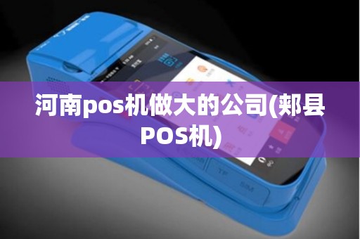 河南pos机做大的公司(郏县POS机)